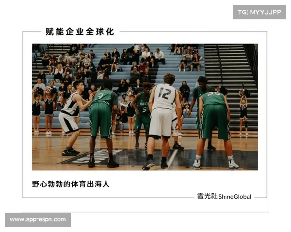 国际七大区域职业联赛引领全球赛事新征程打造体育产业全球化新格局 国际七大区域职业联赛引领全球赛事新征程打造体育产业全球化新格局